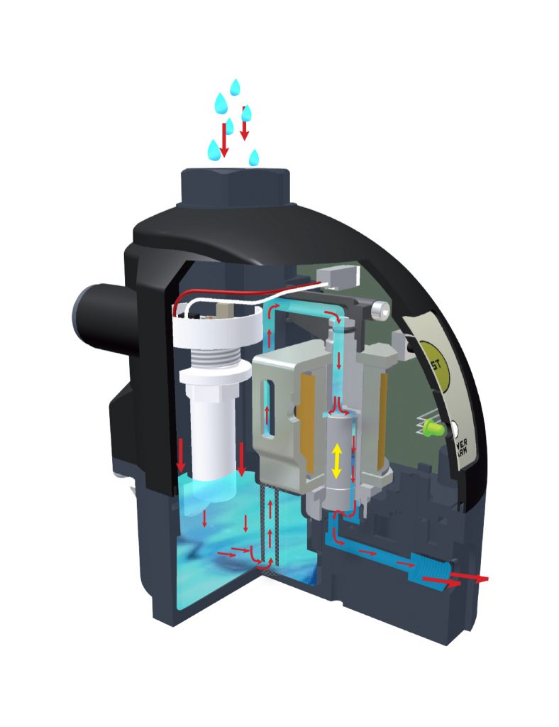 ECD-B cross-section